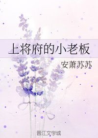 上将府的小老板